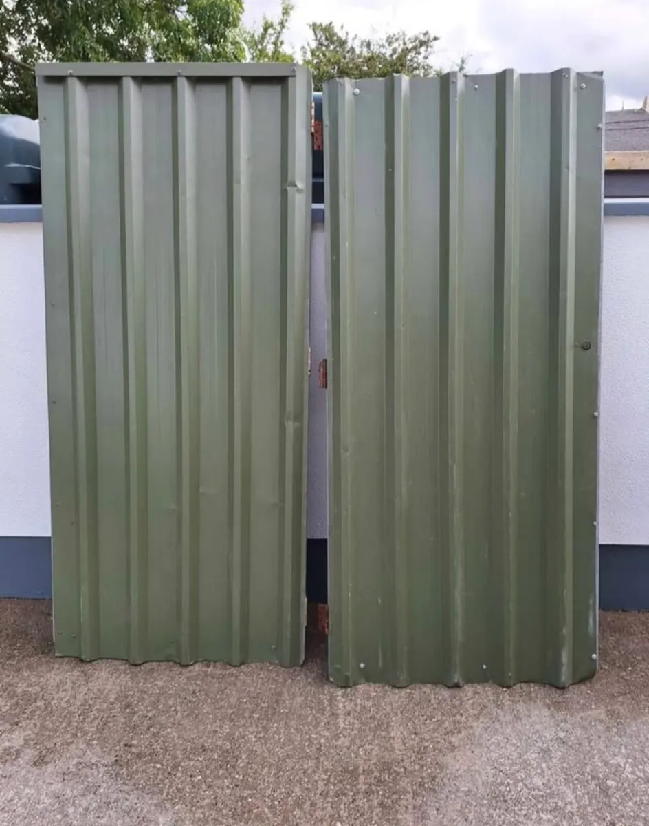 Shed/Garage doors - Image 1