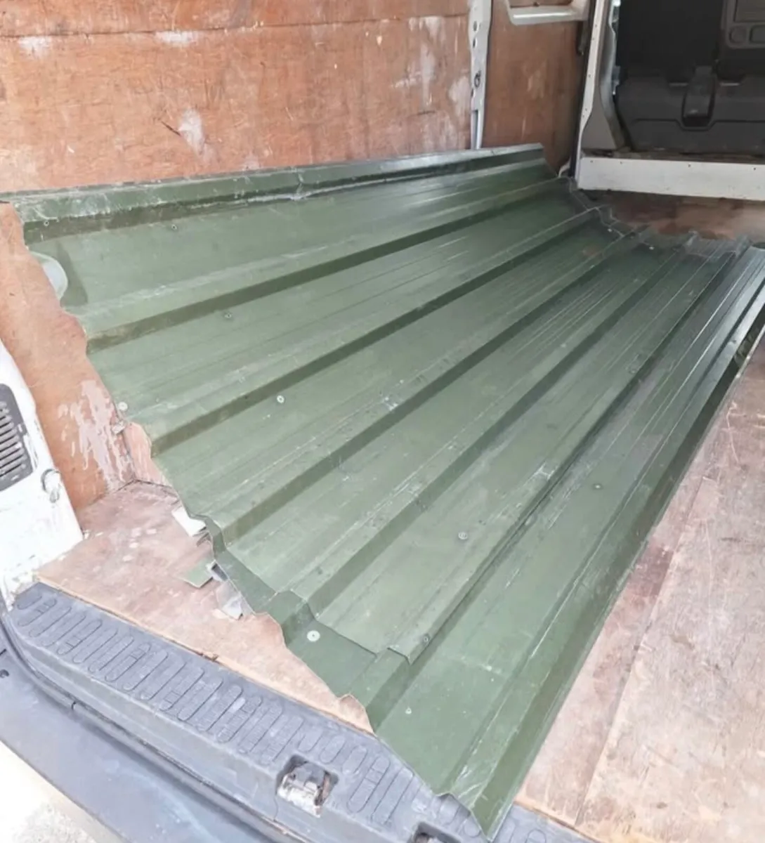 Shed/Garage doors - Image 4