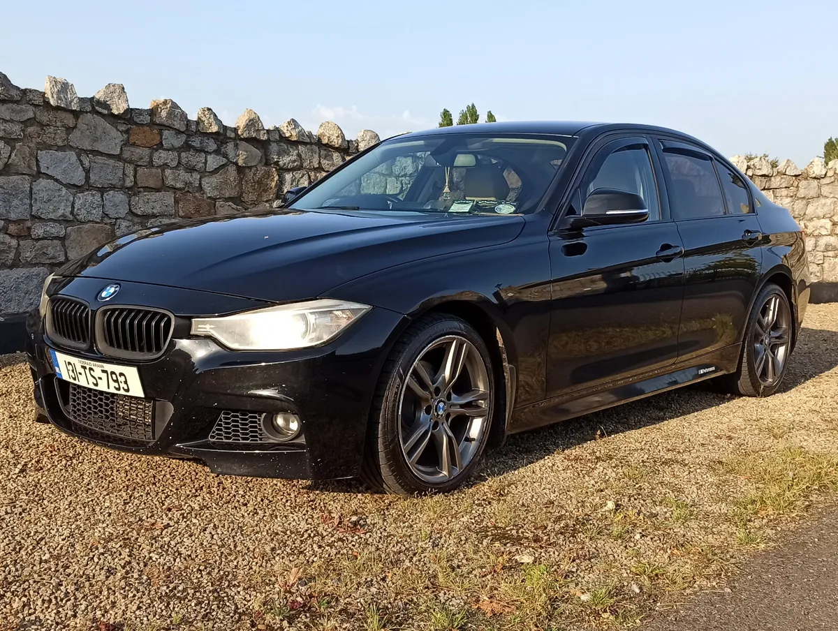 131 BMW 316d 116bhp Manual • MSport kit - Image 3