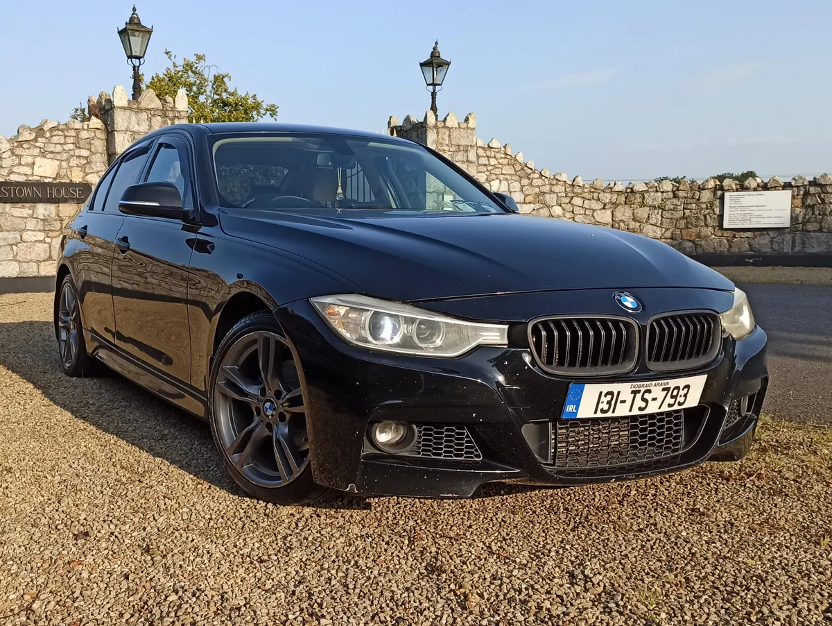 131 BMW 316d 116bhp Manual • MSport kit - Image 1
