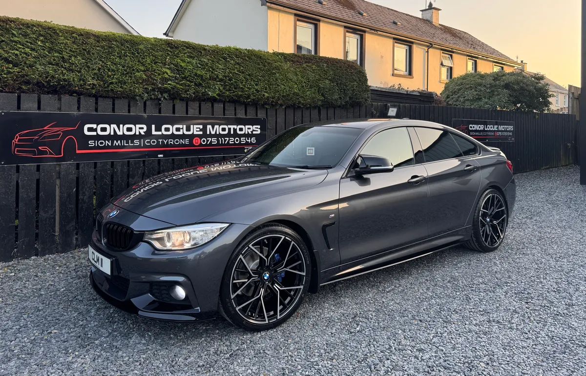 2016 162 BMW 420D M Sport Auto M Performance - Image 3