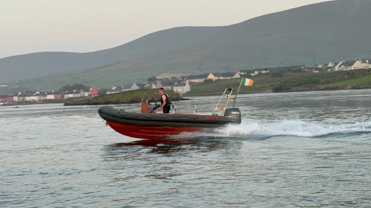 Rib - Image 1