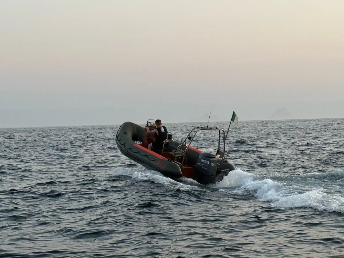 Rib - Image 2