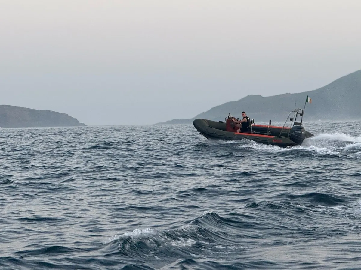 Rib - Image 3