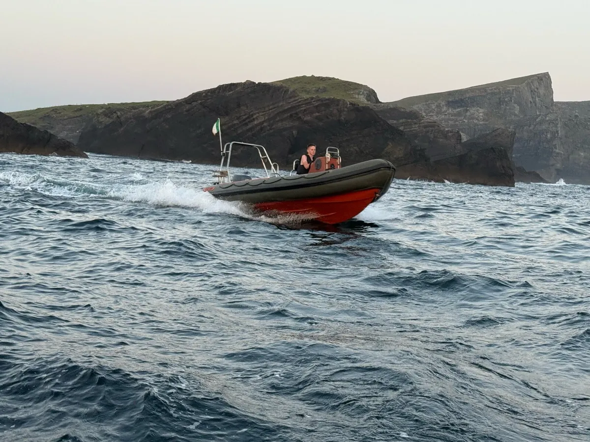 Rib - Image 4