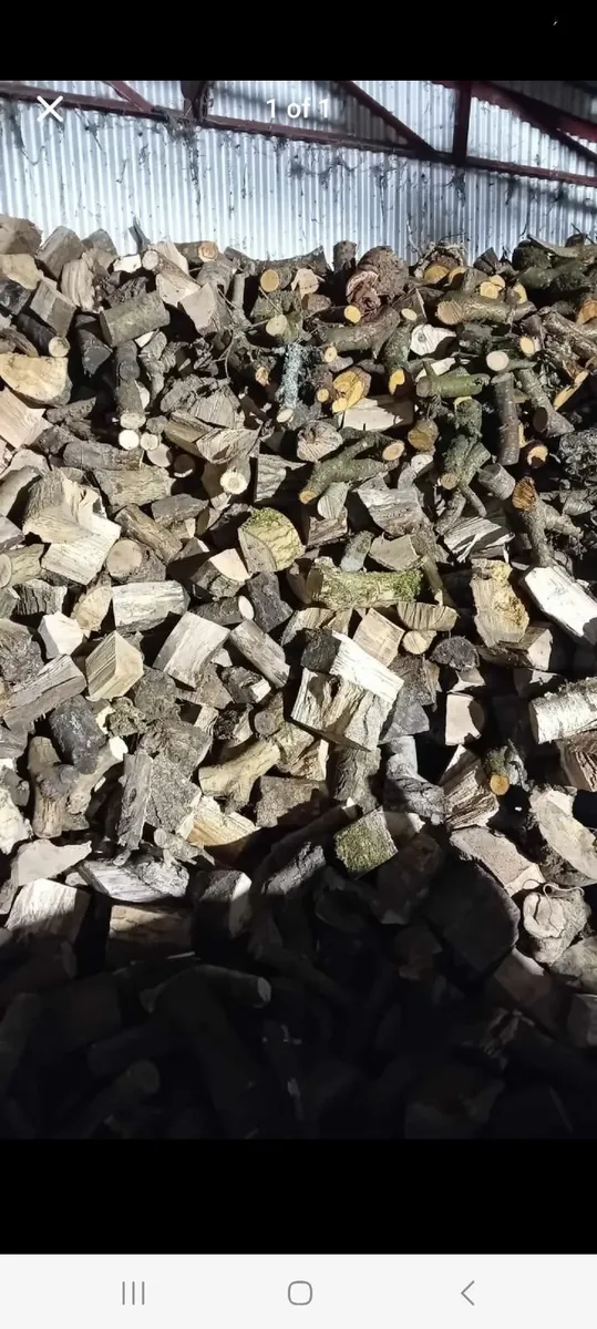 FIREWOOD LOGS