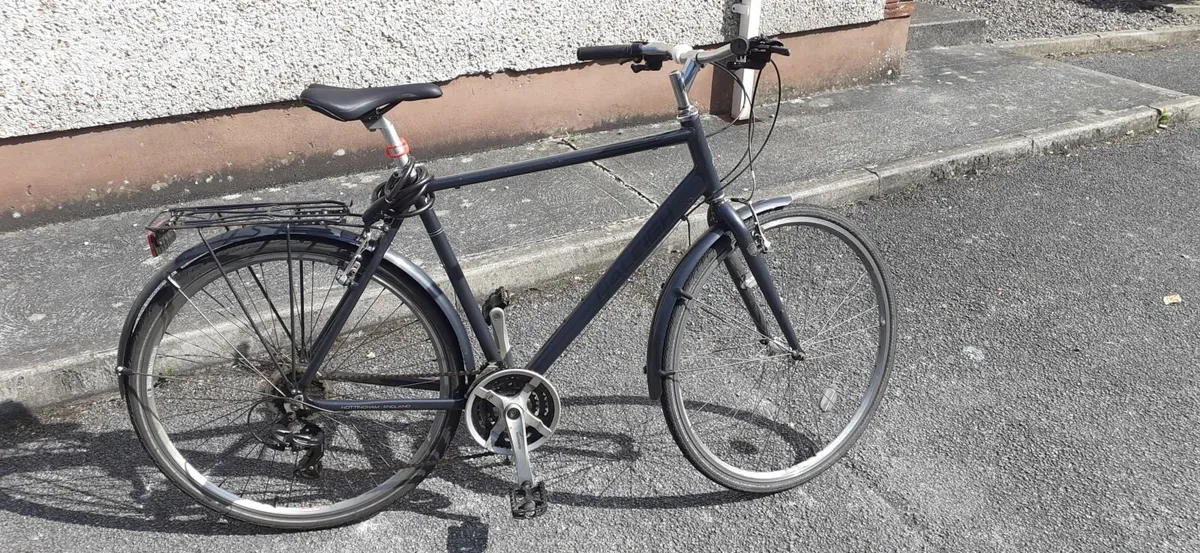 Bike Raleigh Pioneer + Workstand+Pump+Lights+Lock - Image 2