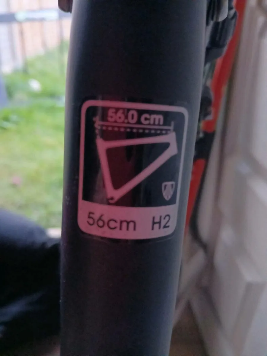 Trek Bike - Image 4