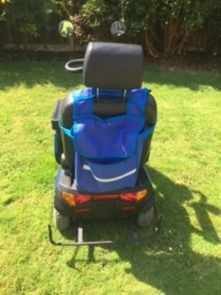Mobility Buggy - Image 2