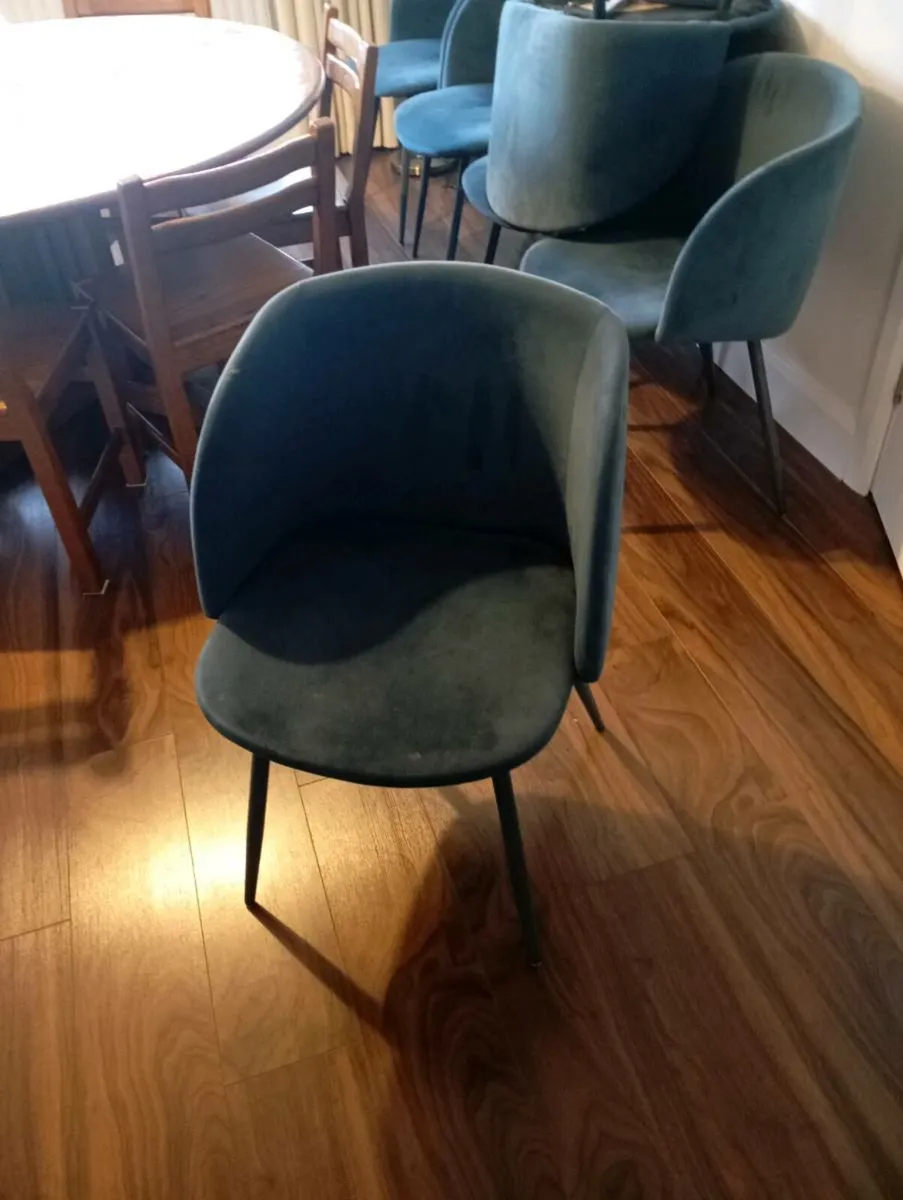 Dinning chairs - Image 1