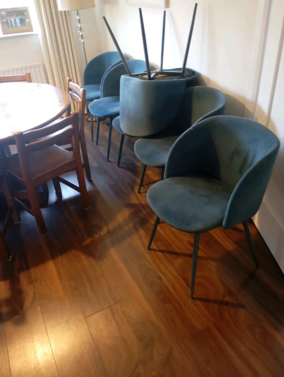 Dinning chairs - Image 3