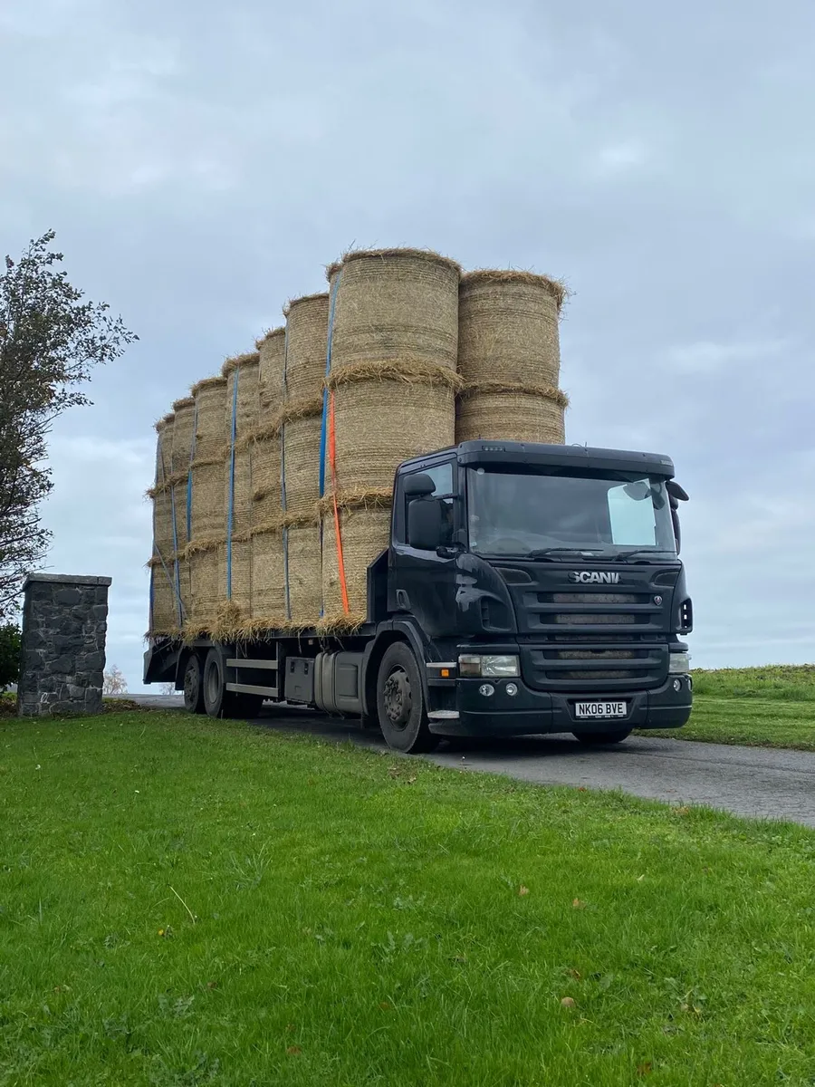600 Round bales of wheat straw available. - Image 1