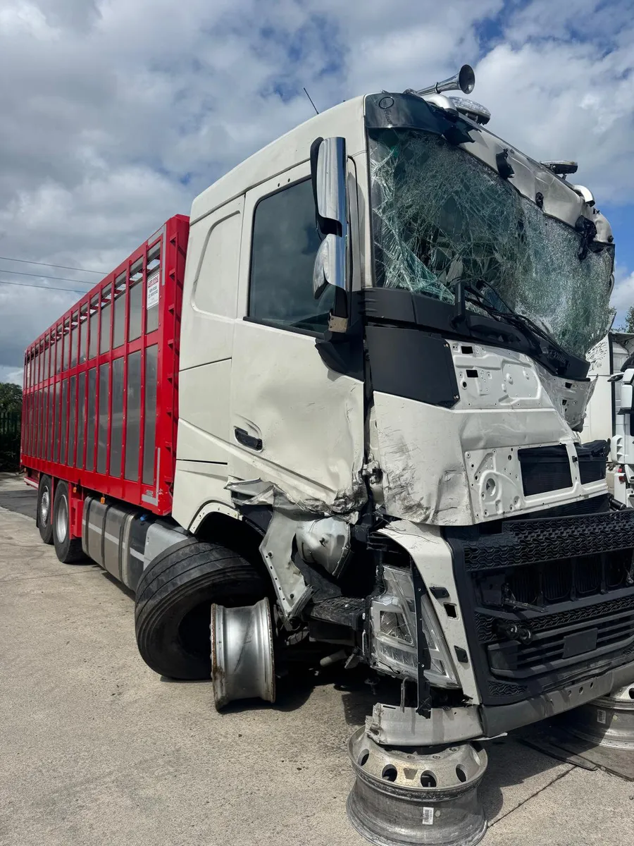 2024 VOLVO FH 26FT CATTLE-BODY - Image 1
