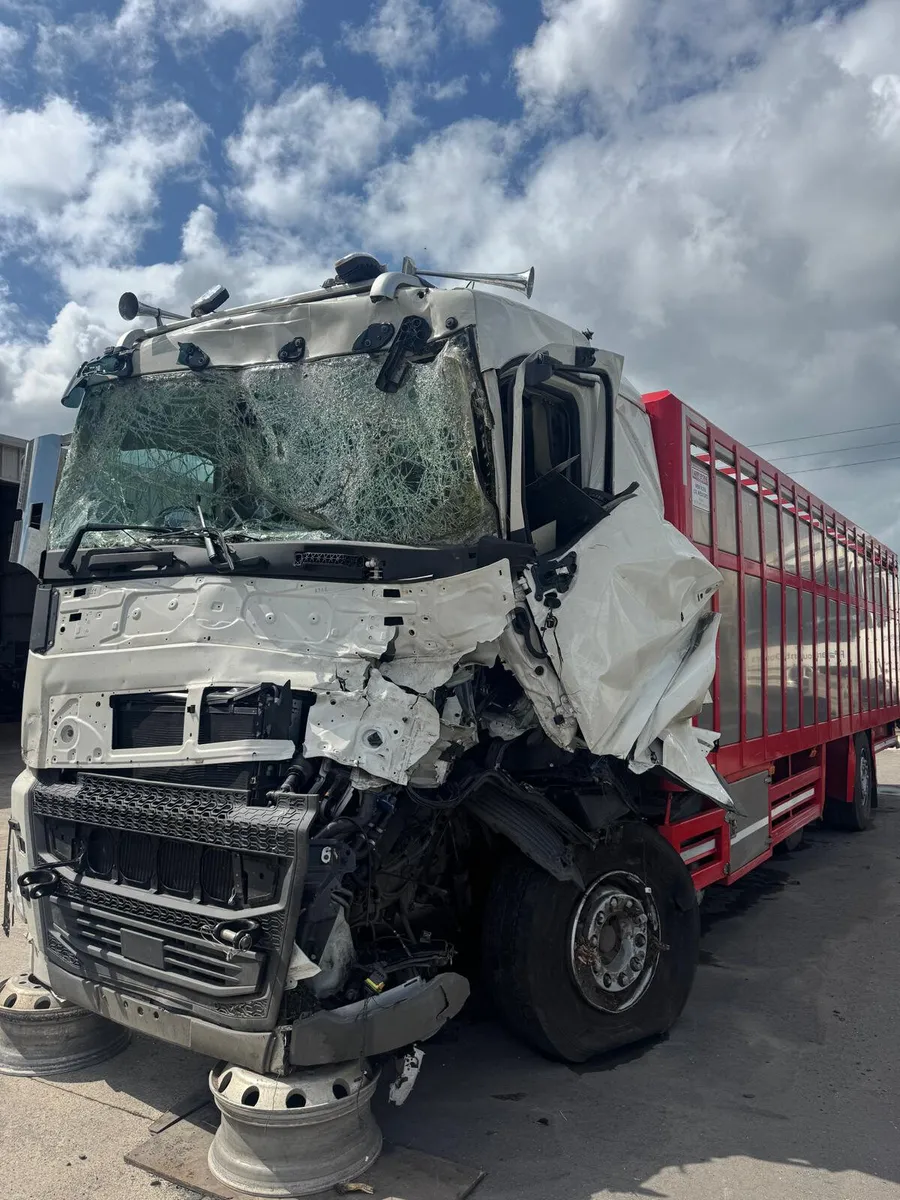 2024 VOLVO FH 26FT CATTLE-BODY - Image 3