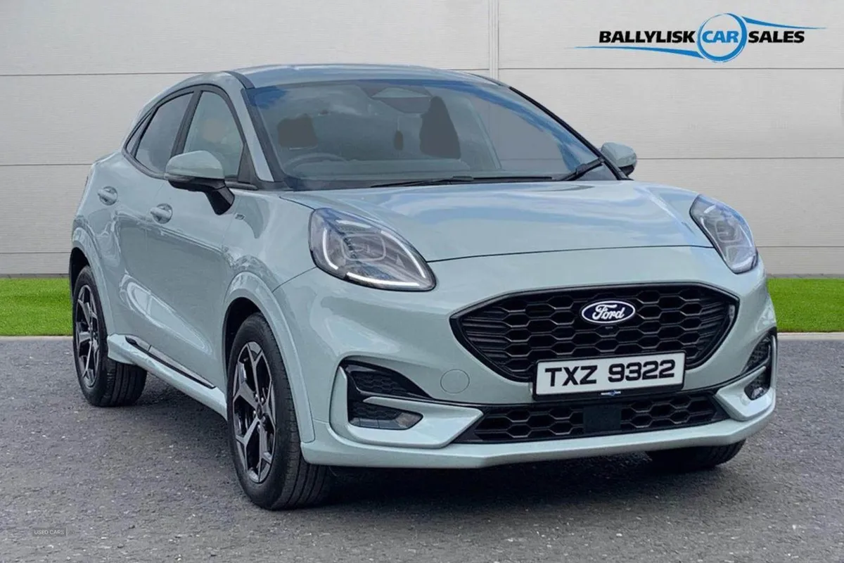 Ford Puma 1.0t 125PS St-line in Cactus Grey With - Image 1