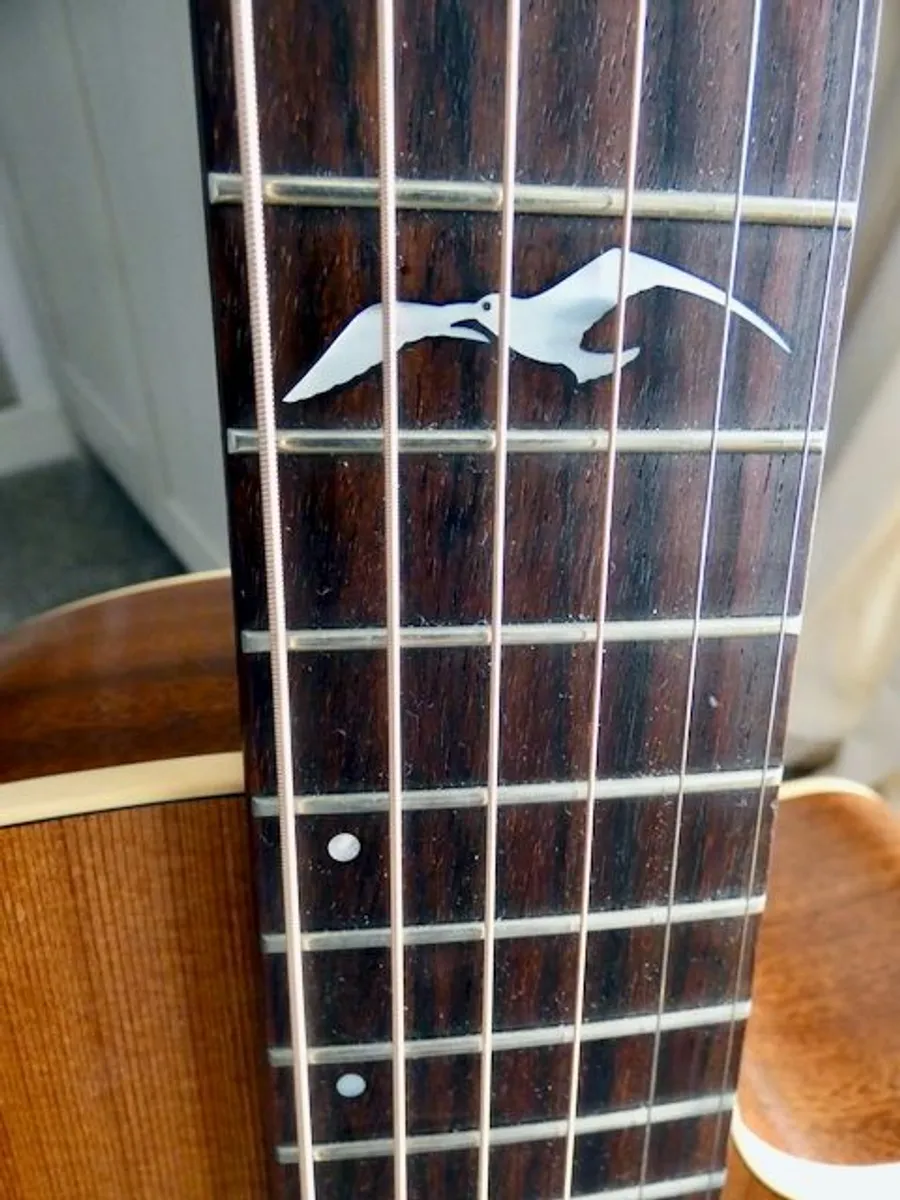 Seagull Acoustic Guitar - Image 1