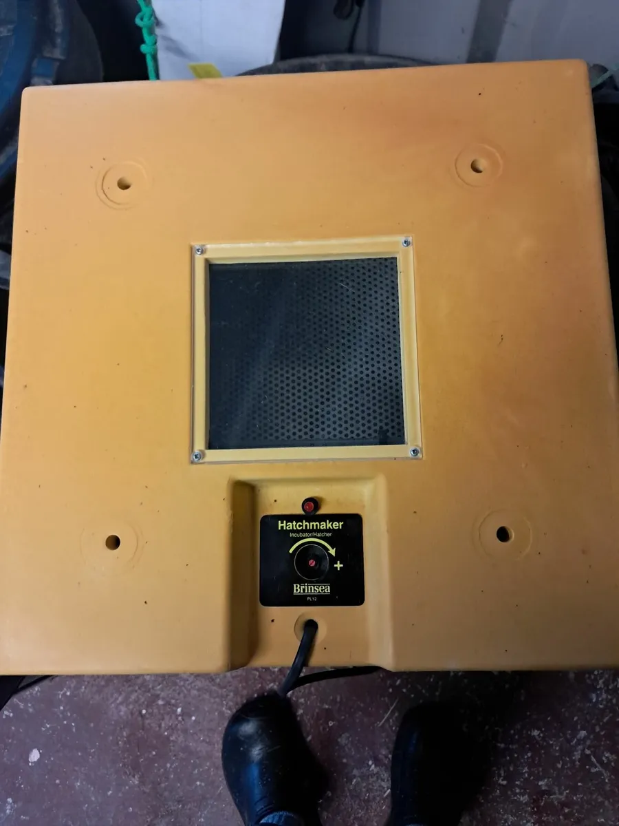 Incubator - Image 4