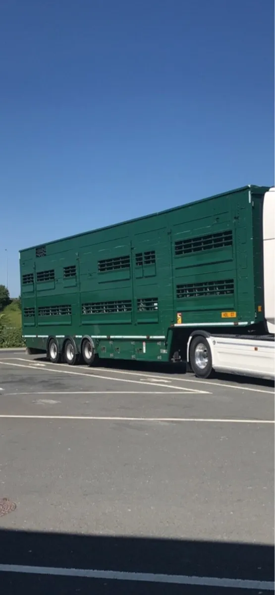 Pezzaioli livestock export trailer - Image 1