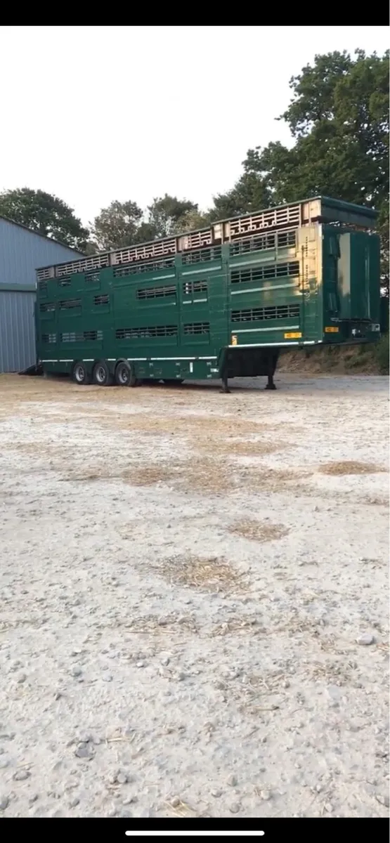 Pezzaioli livestock export trailer - Image 2