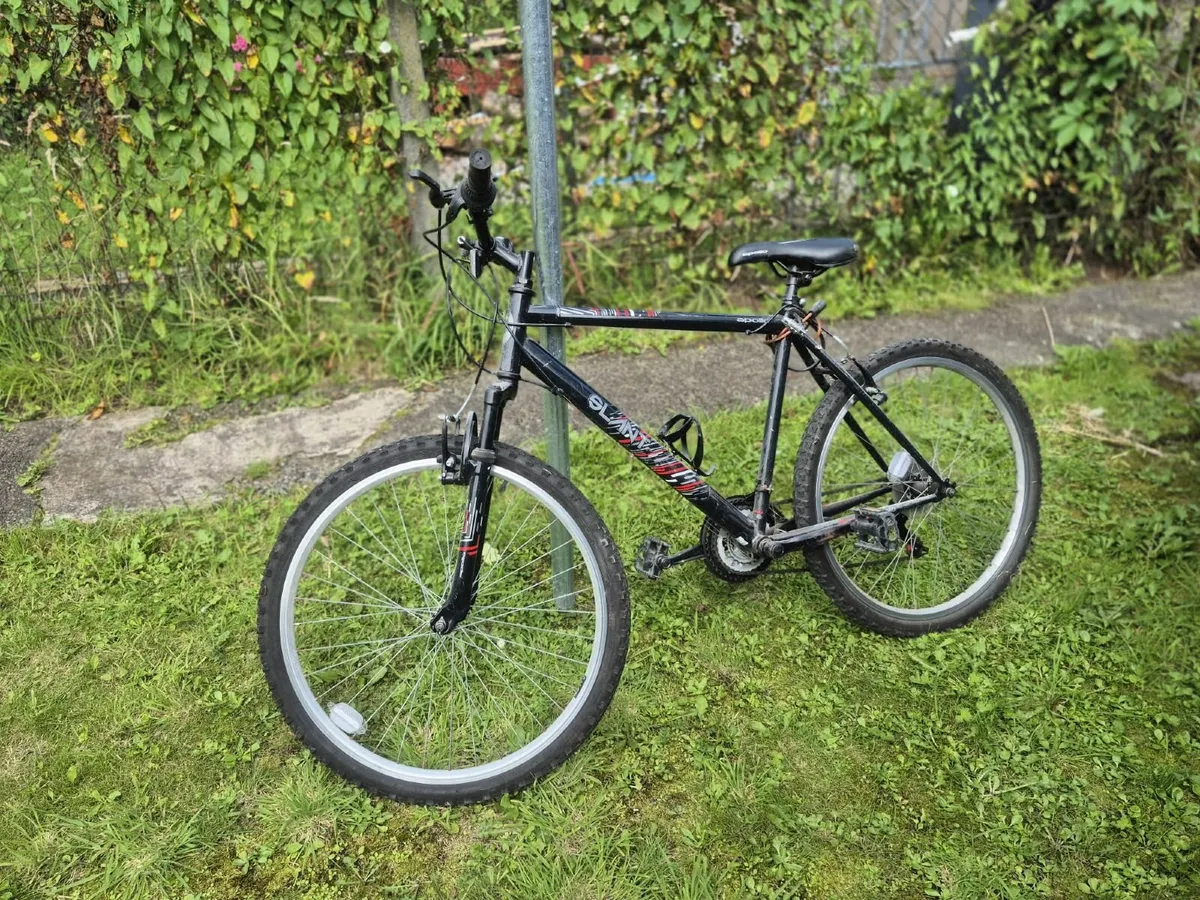 Adult and child (20in) bikes for sale - Image 2