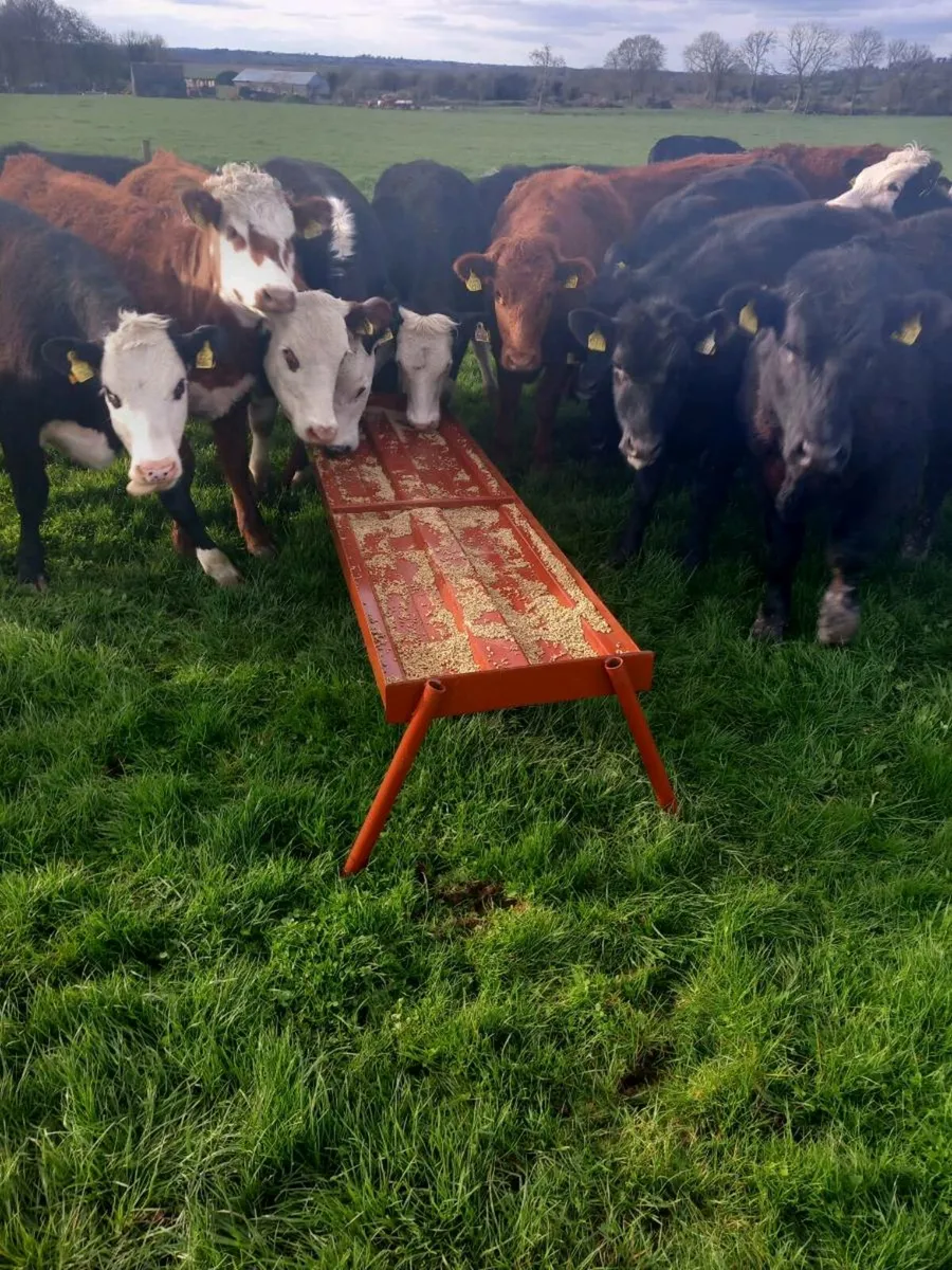 Cattle double feeding troughs - Image 3