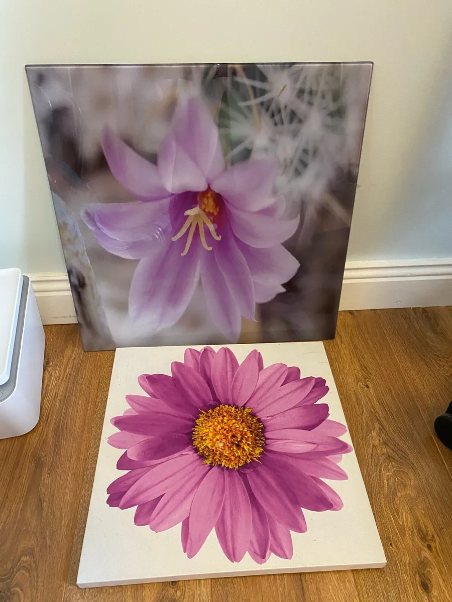 Pictures - Image 1