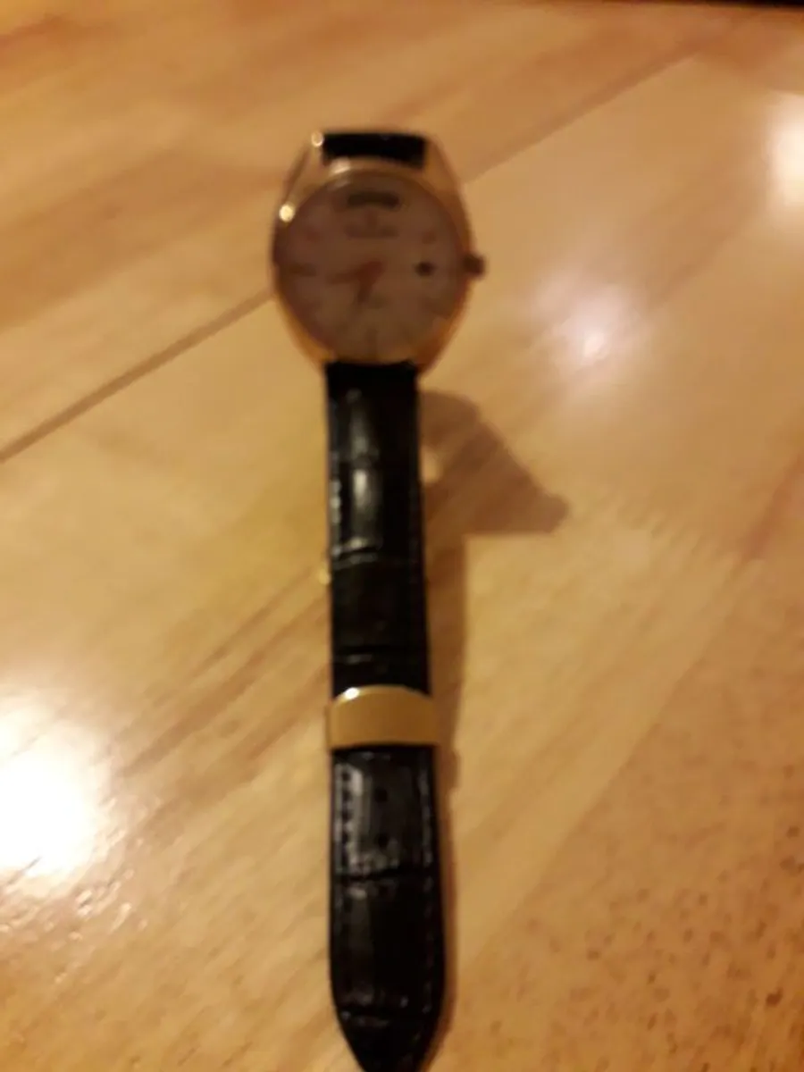 watch Ricoh . Dynamic.  Wide Day Automatic  watch  .men 1970 #1979 - Image 3