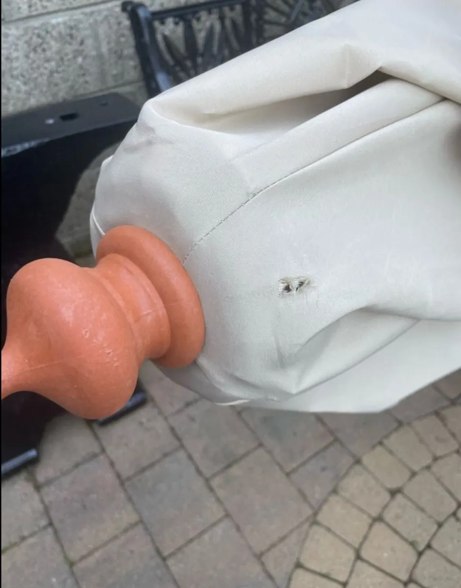 Parasol - Image 4