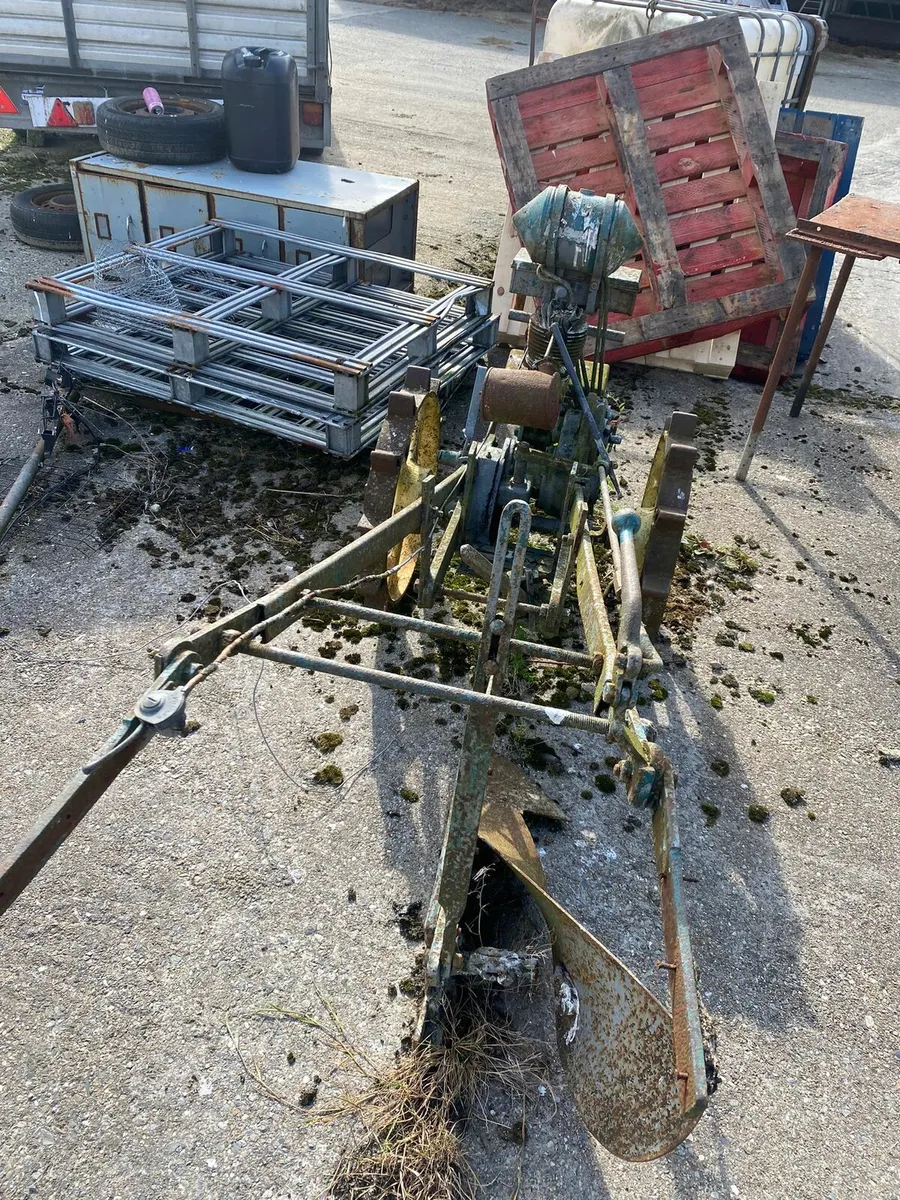 Iron horse - Image 2