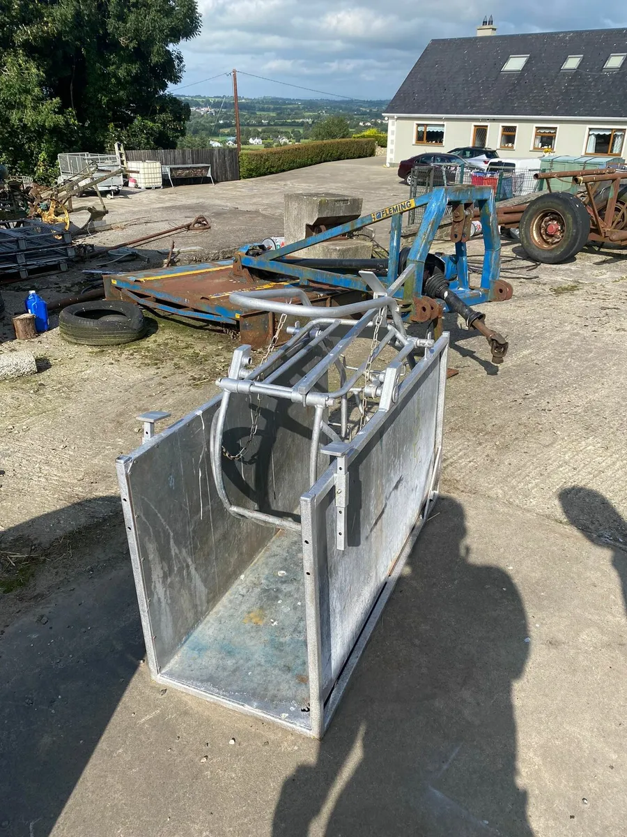 Sheep turntable - Image 2