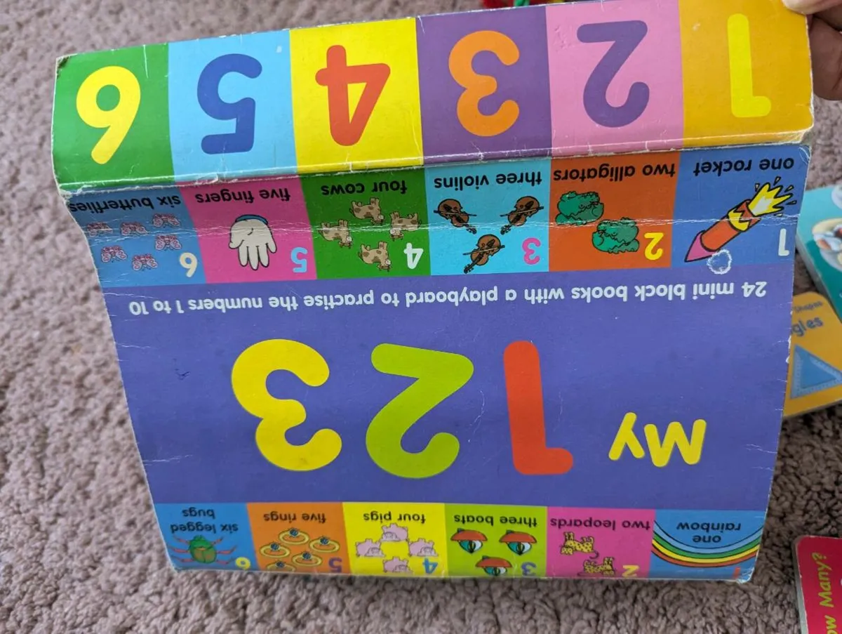 Mini block books - Image 3