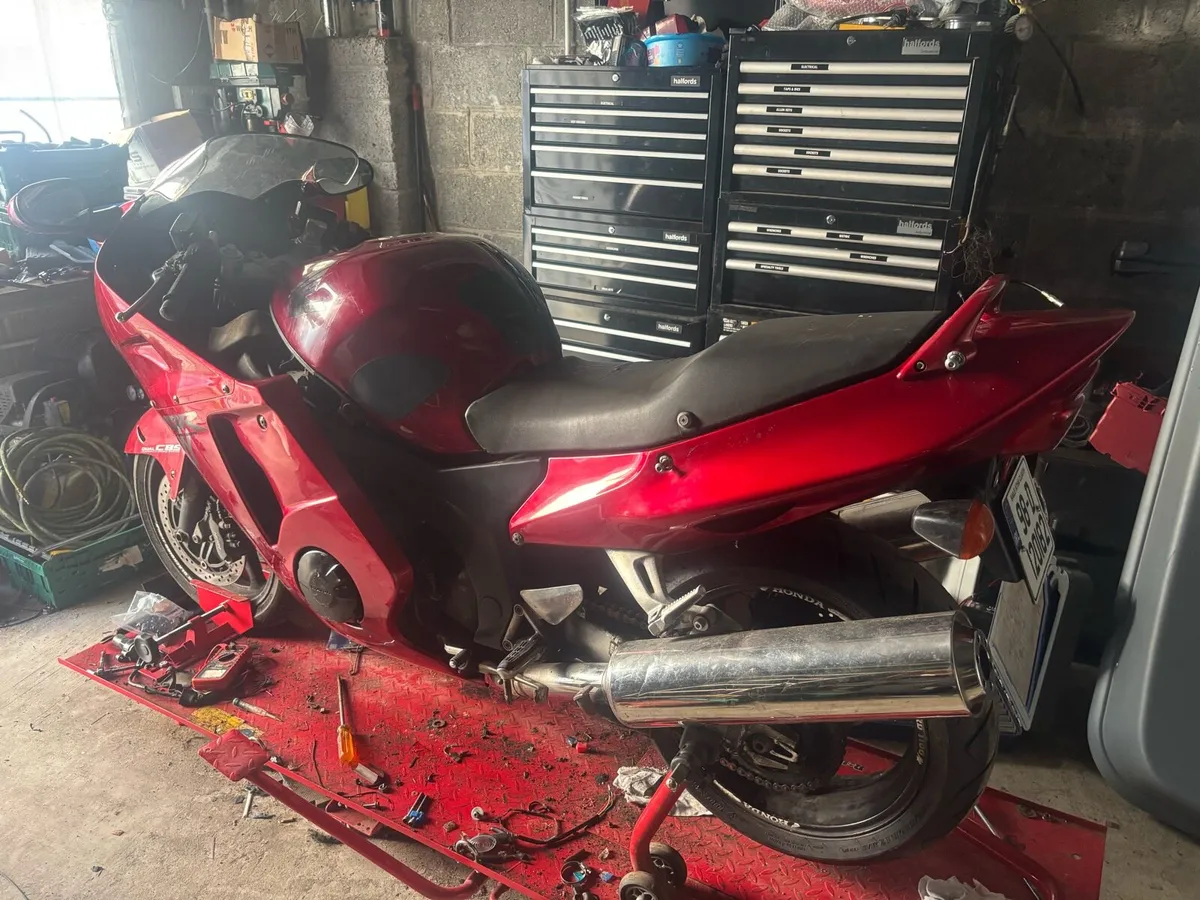Honda Blackbird - Image 2