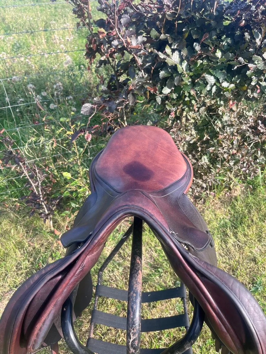 17.5 Inch saddle - Image 4