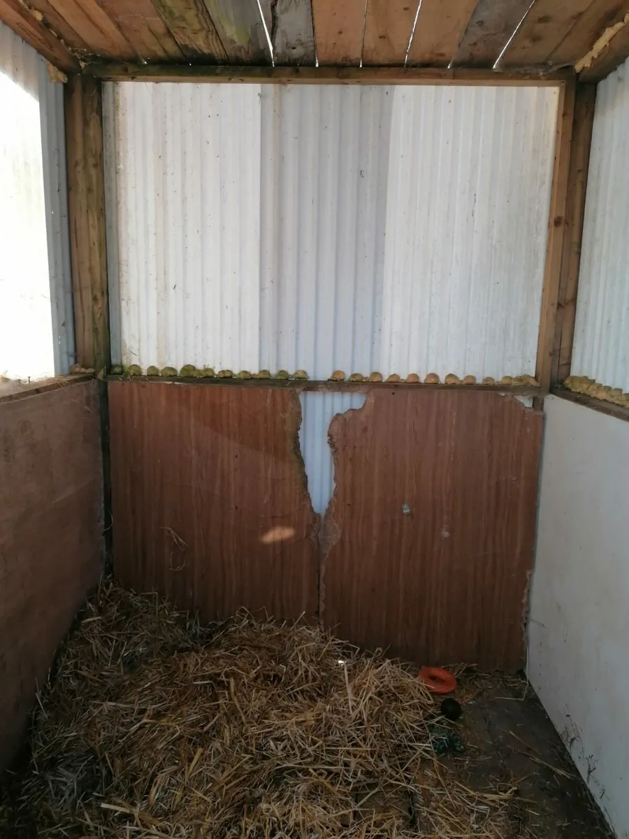 Free garden shed - Image 2