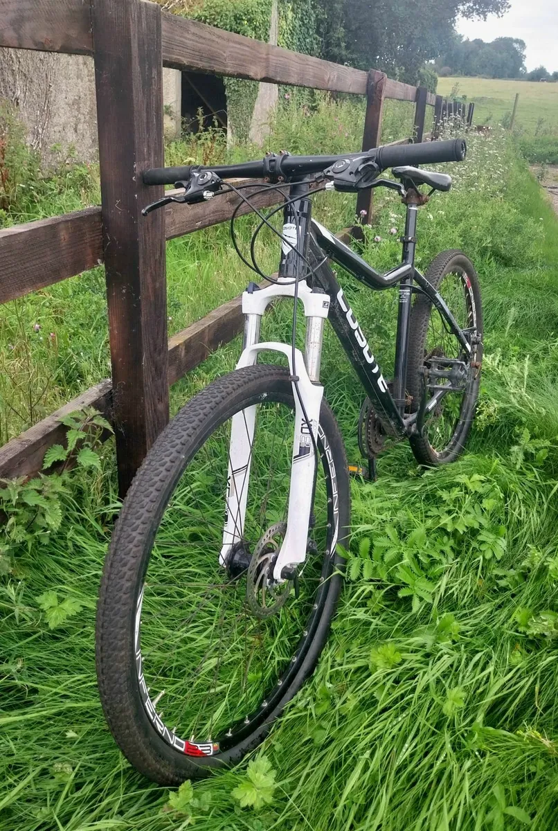 Mountain Bike - Image 1