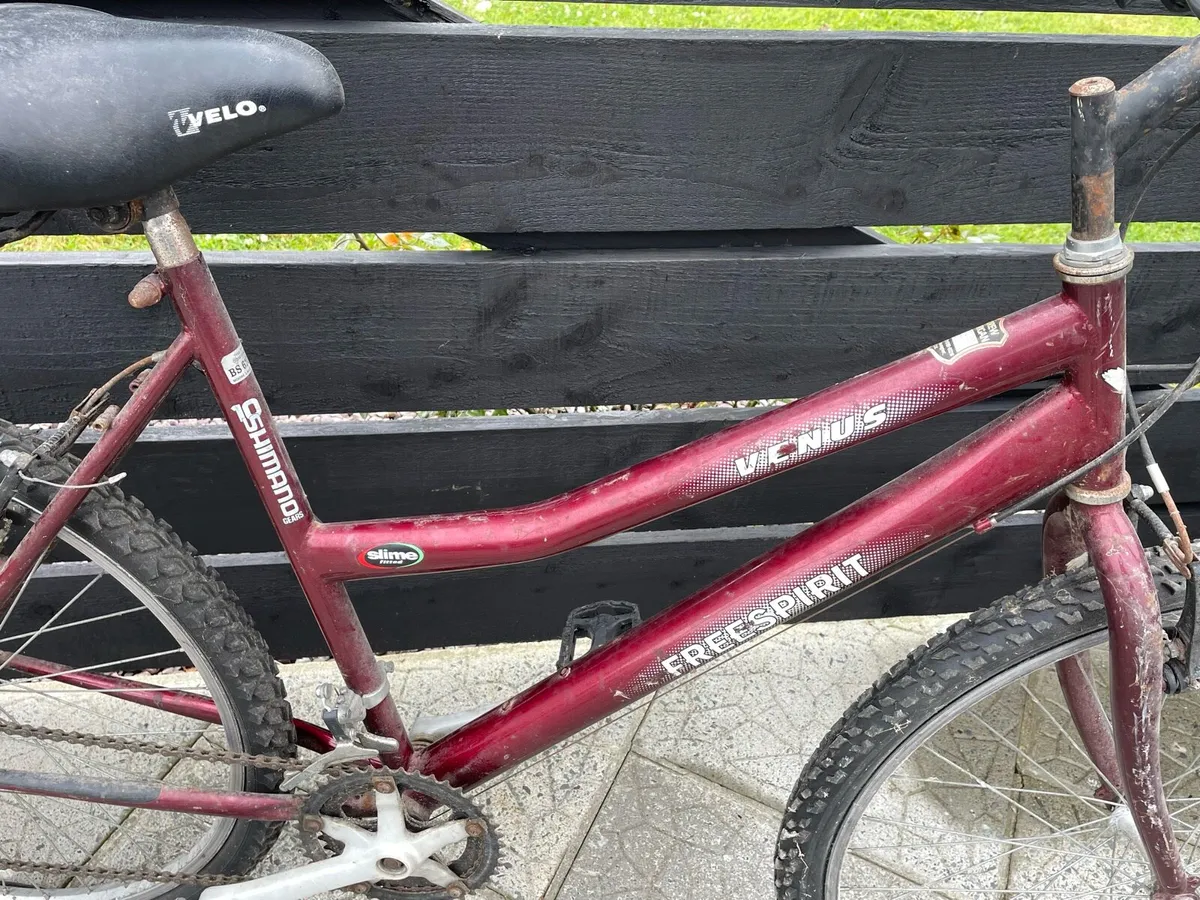 Bike - Image 2