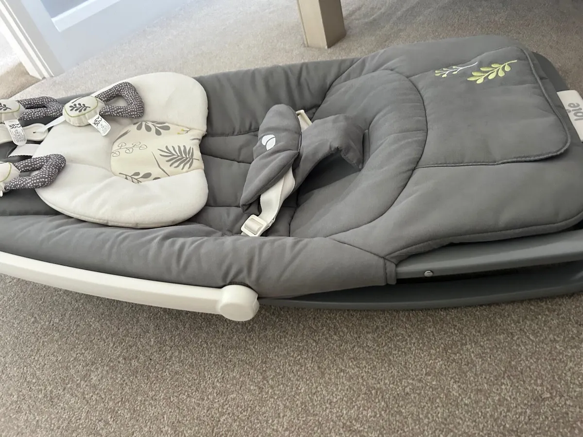 Joie dreamer rocker - Fern - Image 1