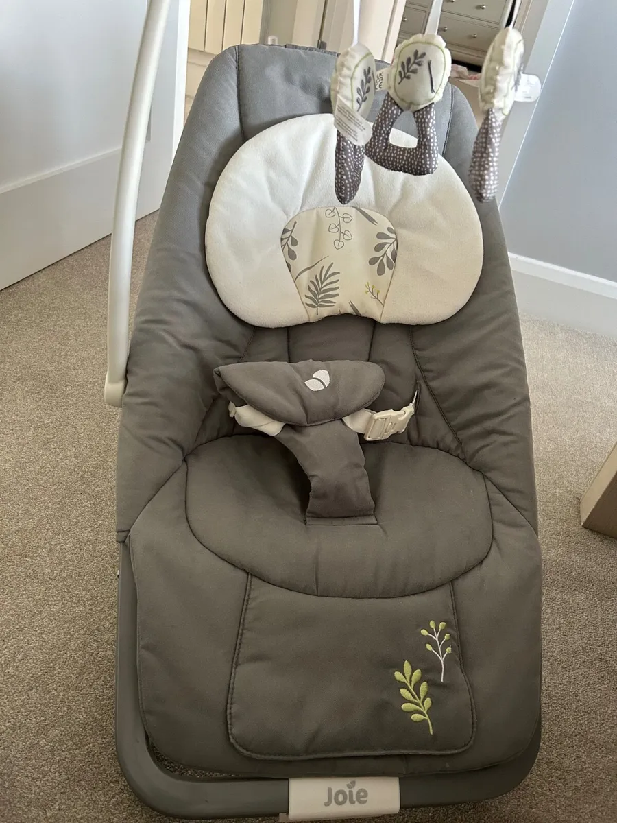 Joie dreamer rocker - Fern - Image 3
