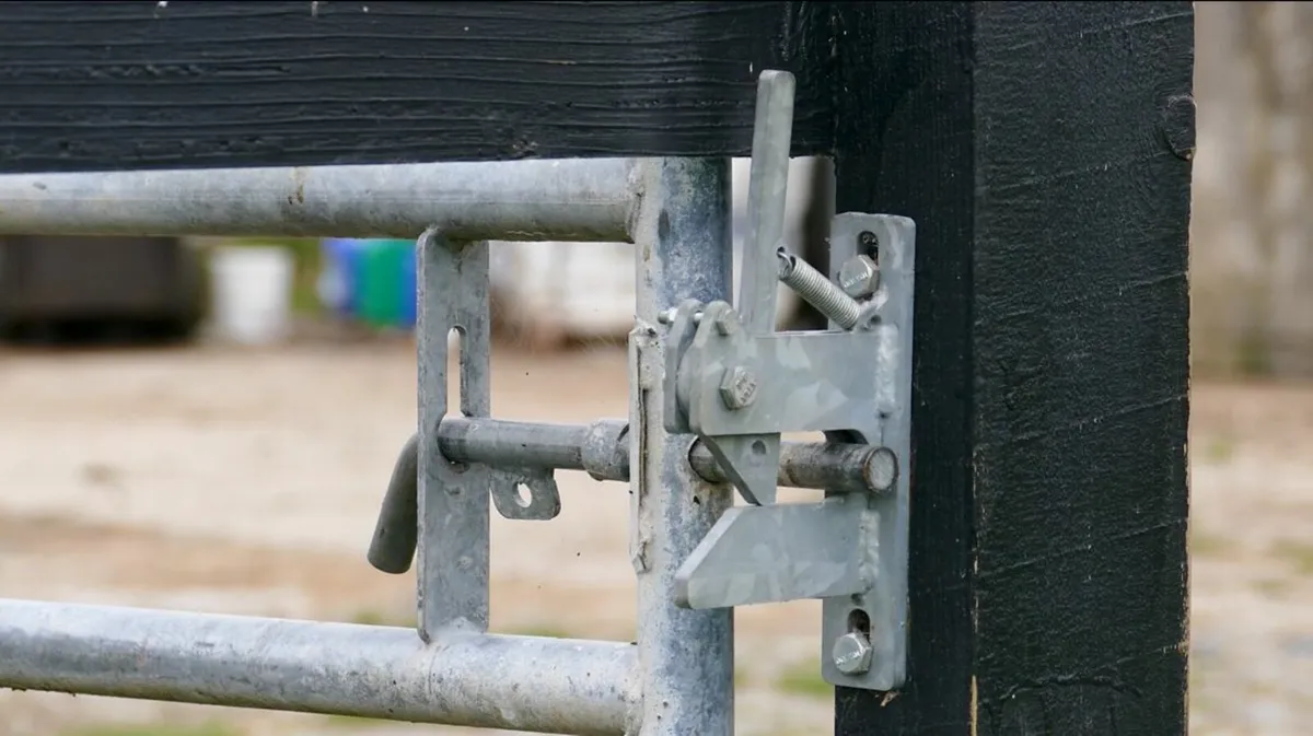 Heavy Duty Self-locking Gate Latch - Image 1