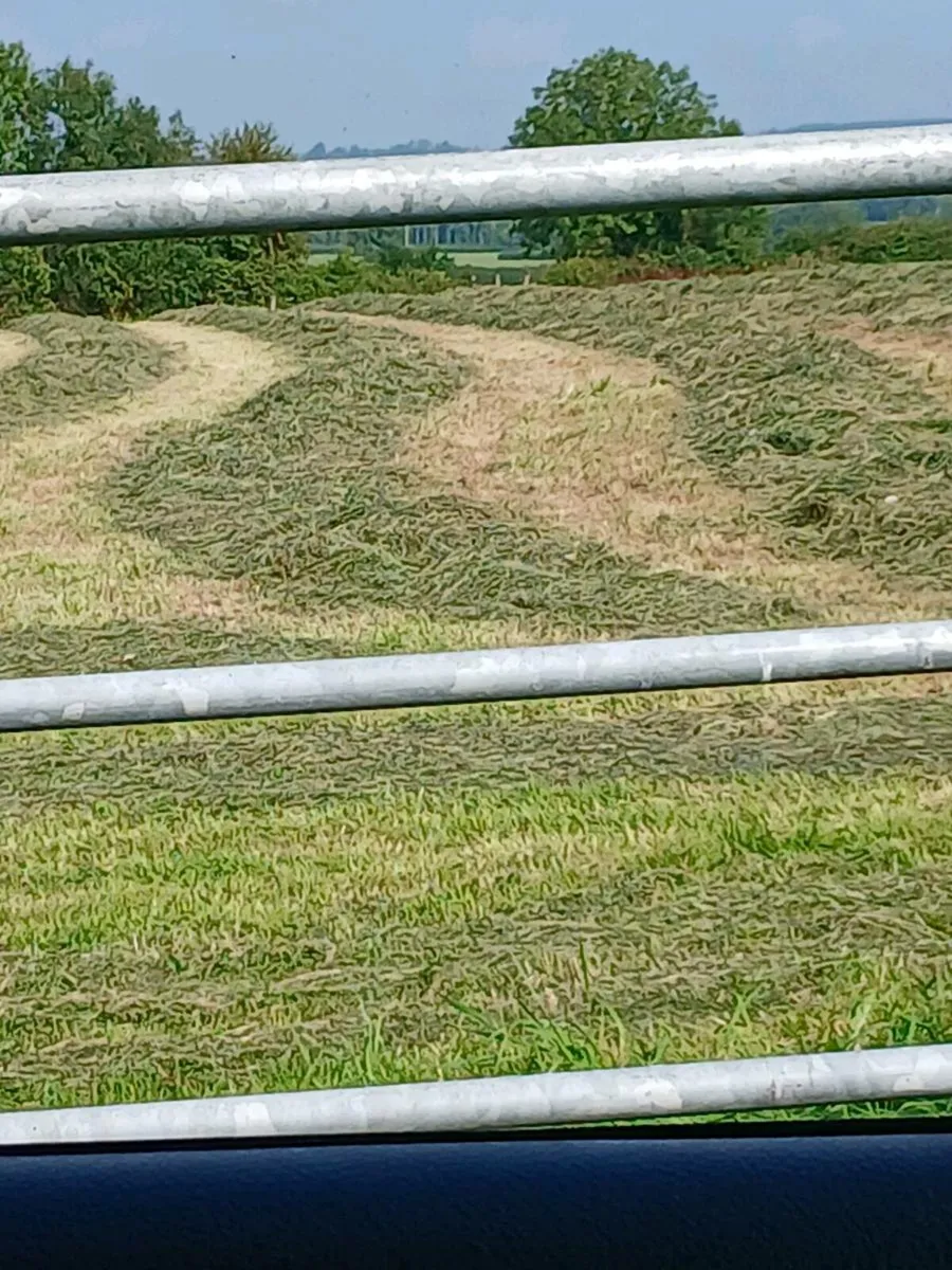 John deere - Image 2