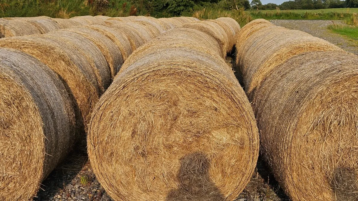 Hay and Haylage For Sale - Image 2