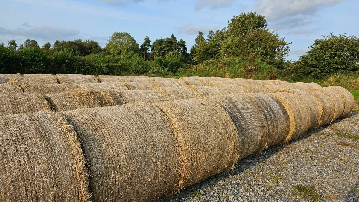 Hay and Haylage For Sale - Image 1