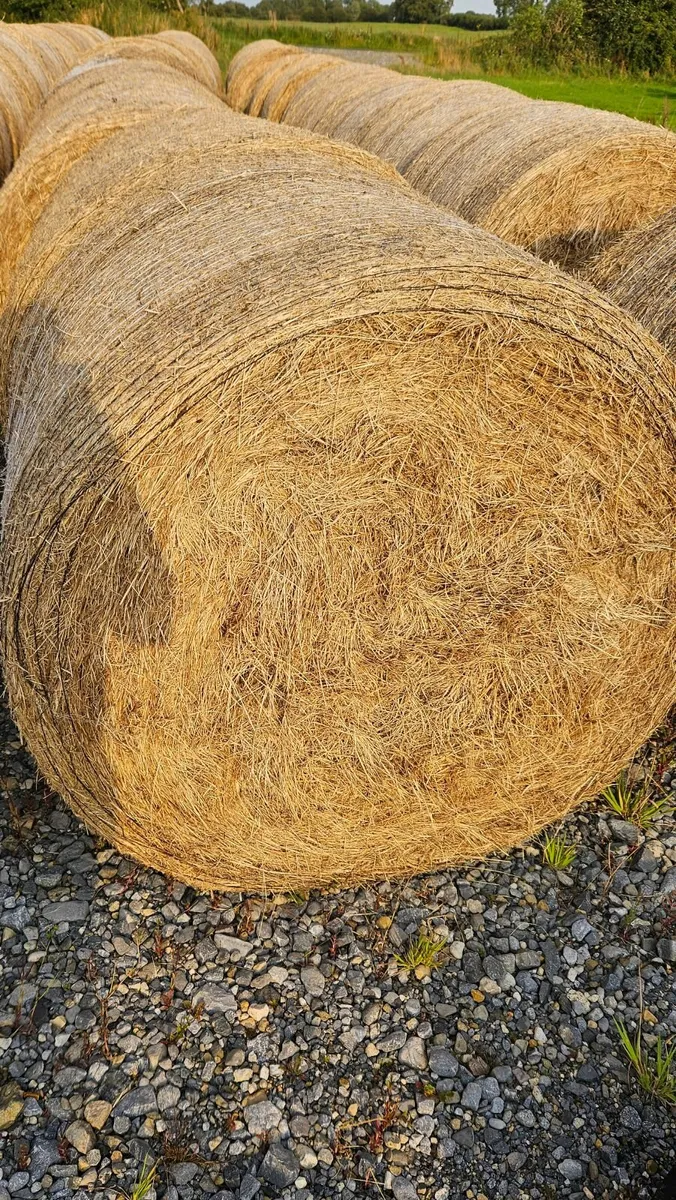 Hay and Haylage For Sale - Image 3