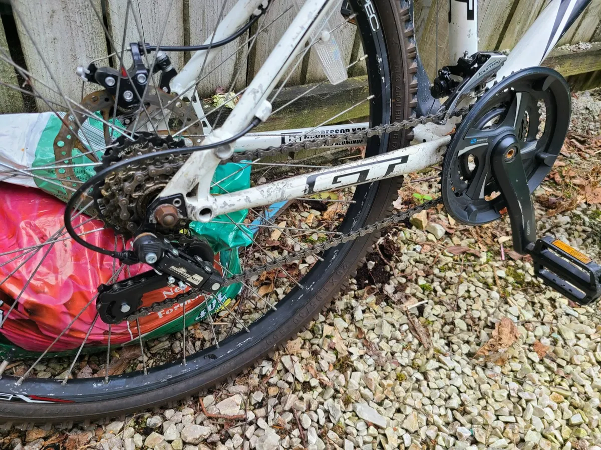 Bike with Accessories - Image 2