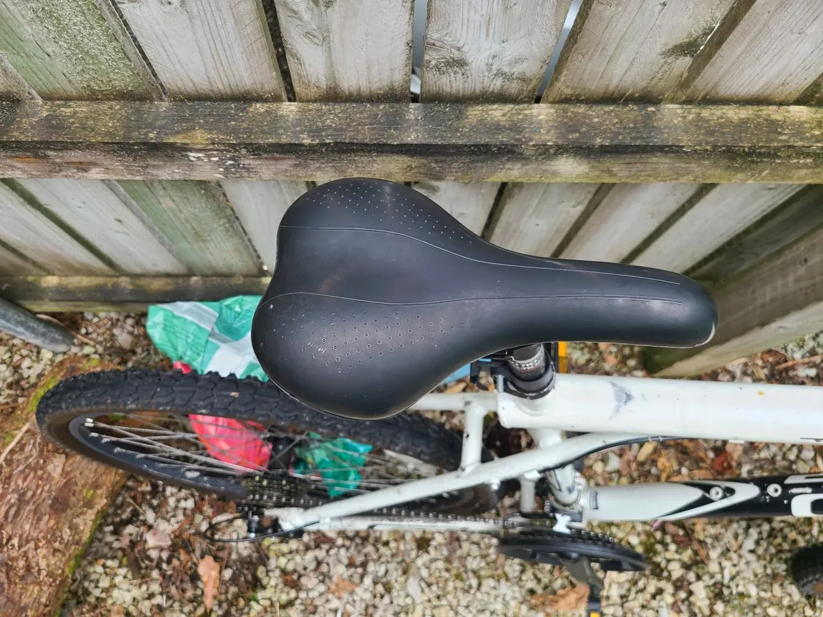Bike with Accessories - Image 3