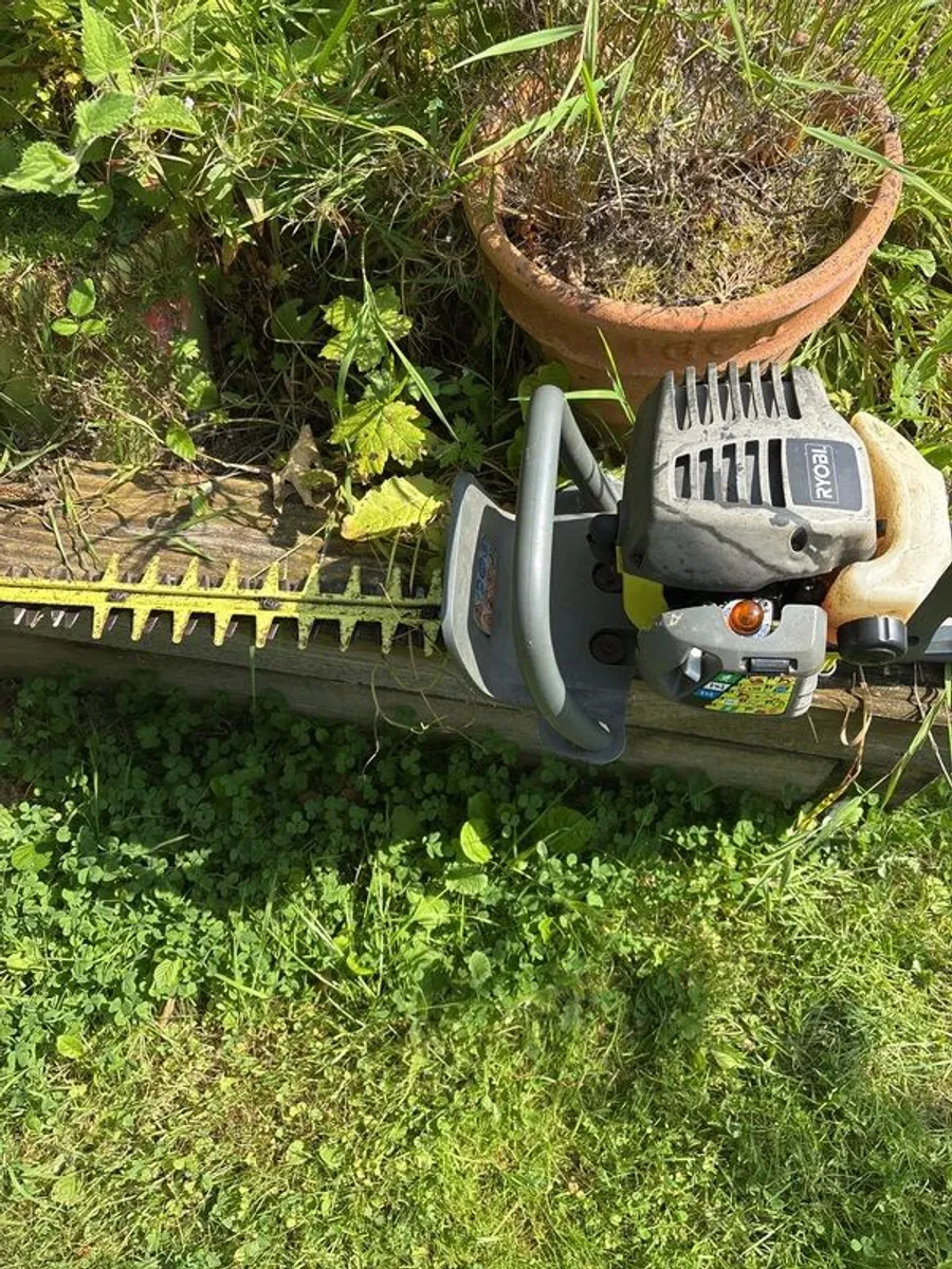 hedge - Image 1