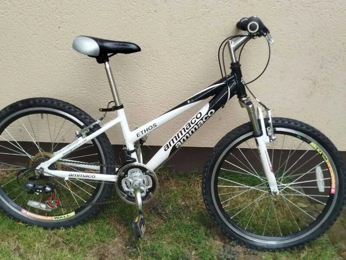 Teenage Girls Hybrid Bicycle - Image 1