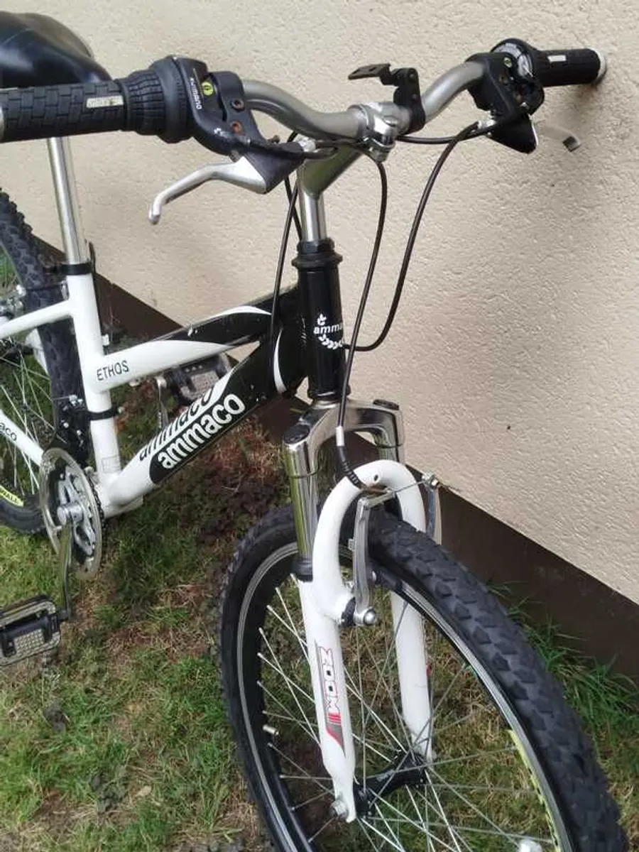 Teenage Girls Hybrid Bicycle - Image 3