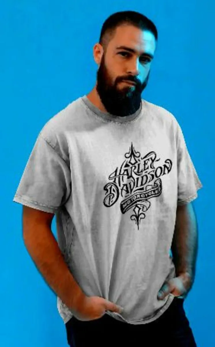 BNWT Harley T-Shirt/ Fits All - Image 4