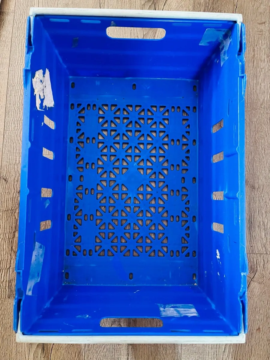 Box for sale - Image 4